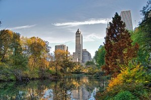 Central_Park_NYC